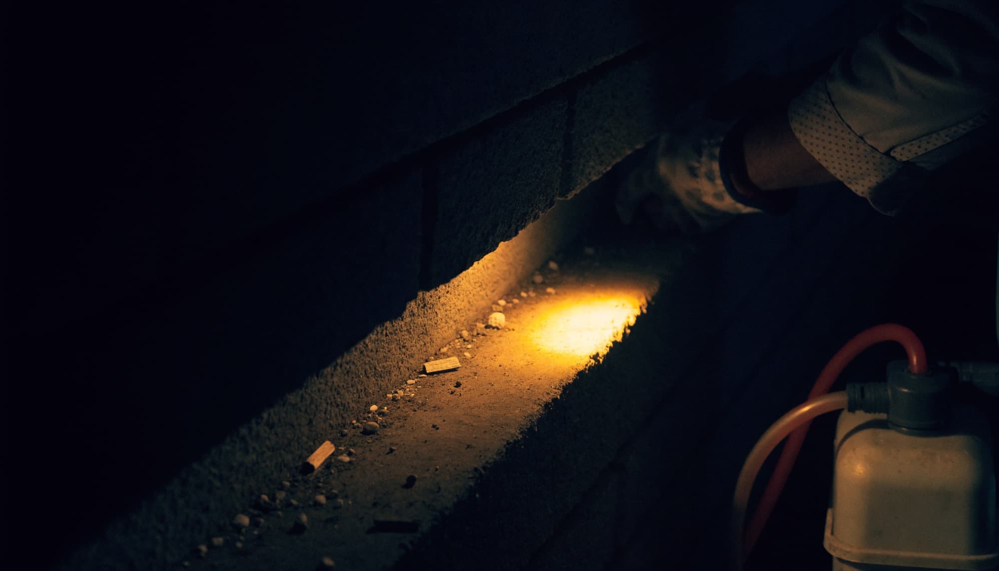 A pest control technician inspecting a dark foundation perimeter