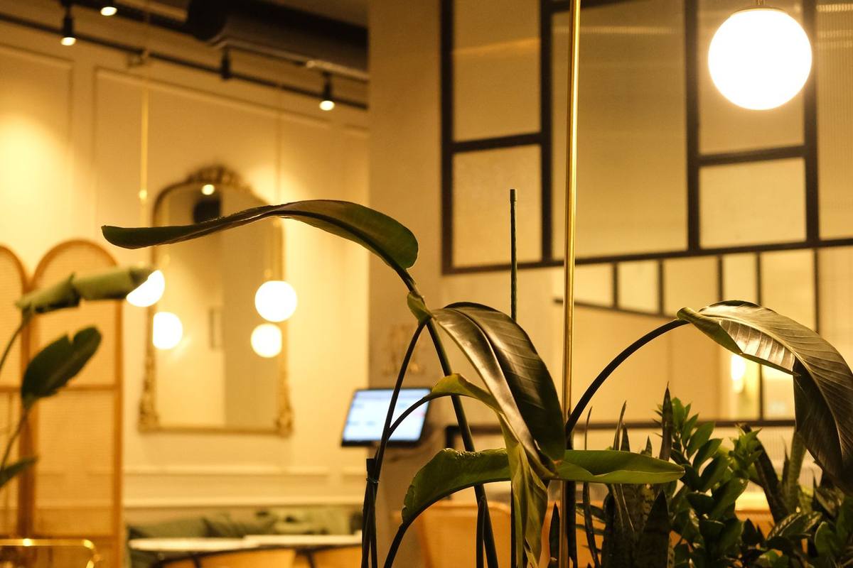 Inside the dining room